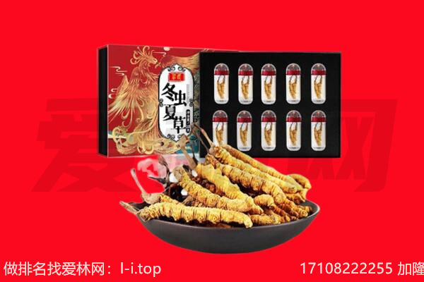 横县区回收虫草.jpg